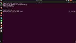 Flutter Installation Ubuntu 24.10 Desktop Linux