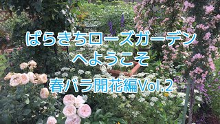 ばらきちローズガーデンへようこそ！ 春バラ開花編Vol.2