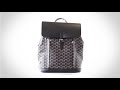 • mightychic • goyard alpin backpack