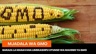 Mjadala wa GMO