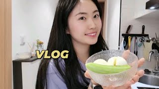 Vlog ｜ 朝九晚五上班族打卡哈佛减肥法4天能瘦多少？一周减脂备餐