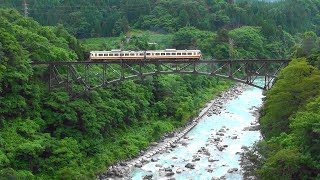 【絶景!車窓】富山地鉄立山線 千垣橋梁を渡る元西武特急レッドアロー ﾘﾉﾍﾞｰｼｮﾝ後の有峰口駅