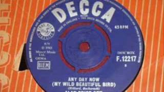 Alan Price Set - Any Day Now