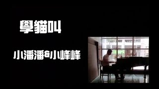 《鋼琴版演奏》艾爾加彈「學貓叫」