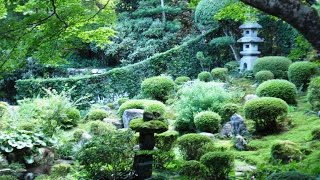 Ohara and Sanzen Temple 京都大原　三千院