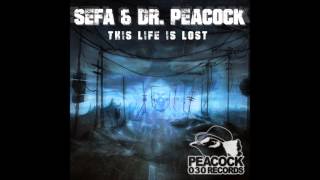 Dr. Peacock & Sefa - This Life Is Lost