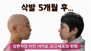 (11) 항암 끝나면 머리 다시 자라요 삽살개처럼..