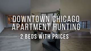 CHICAGO APARTMENT HUNTING - 2 Beds with Prices $$$