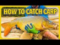 How to catch carp, CHEAP and SIMPLE carp fishing tips