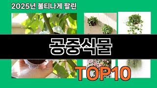 공중식물 지금 안 사면 품절되는 쿠팡 추천템 BEST 10