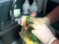 How to lime dip a pet to cure ringworm How to lime dip a pet to cure ringworm