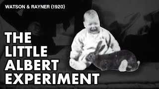 The Little Albert Experiment | Watson \u0026 Rayner (1920)