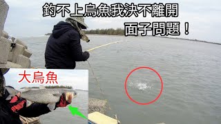 釣不上烏魚我決不離開 面子比較重要嗎？天氣太冷了（336集）@Pin338548 阿平趴趴走