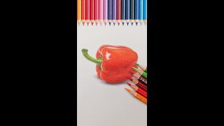 【彩鉛教學】彩鉛保姆級教程甜椒的畫法丨color pencil drawing