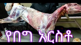 የበግ አርስቶ /ethiopian food