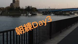 朝練Day3～😃 #旧江戸川 #今井橋 #釣り #釣り動画 #fishing #tiktokfishing #thanks