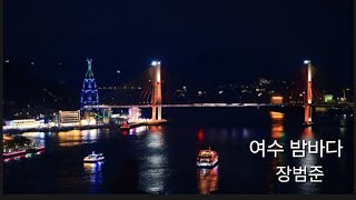 아름다운 조명에 낭만이라는 풍미를 더한 여수 밤바다 #여수일몰 #여수밤바다야경 #장범준