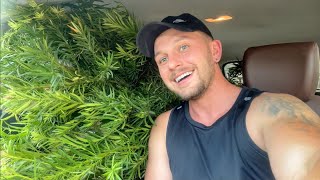 SURPRESA: CHEGUEI EM CASA com o carro CHEIO DE PLANTAS 🤭 | Henrique Buttler