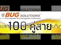 Bug Solutions มุ่งมันพัฒนา