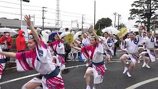 天翔連  鎌ヶ谷阿波おどり 流し踊り