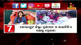 କୋଟିଆ ଷ୍ଟ୍ରବେରୀ ଭାରି ସୁଆଦିଆ | NandighoshaTV