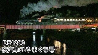 【夜汽車】D51200 SLやまぐち号 団体臨時列車 2020.10.23