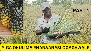 YIGA OKULIMA ENANAASI OGAGAWALE (PART 1)