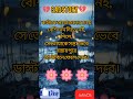 তোমাকে সস্তা ভেবে। heart touching bengali story। romantic begali story।new new bangali love story