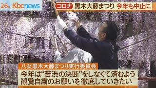 「八女黒木大藤まつり」「吉祥寺藤まつり」今年も中止に