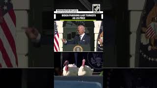 Joe Biden pardons turkeys in his last Thanksgiving as US President