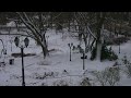 snowy walk in riga latvia ❄️ walking through a latvian old town 4k hdr