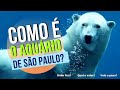 Como que é o aquário de São Paulo? | Onde fica e qual o valor  | VALE A PENA?