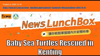 ICRT NEWS FOR KIDS Baby Sea Turtles Rescued in Kenting