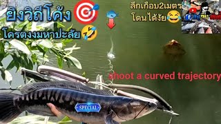 EP.96 ยิงปลาบนบก ตอน เฝ้าปลาชะโดหมายเด็ดวันที่ 3 ก็ยังหมานเหมือนเดิม#fish #ยิงปลา #shoot