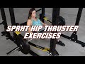 Hip Thruster Attachment Exercises: Hip Thrusts & Single Leg Squats on Body-Solid Pro Clubline SPRHT