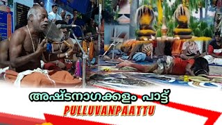 Ashtanagakalam paattu | അഷ്ടനാഗക്കളം പാട്ട് | Pulluvanpaattu  l പുള്ളുവൻ പാട്ട് | സർപ്പം പാട്ട്