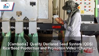 【Cambodia】Quality Declared Seed System (QDS) Rice Seed Production and Promotion Video (Chapter 1)