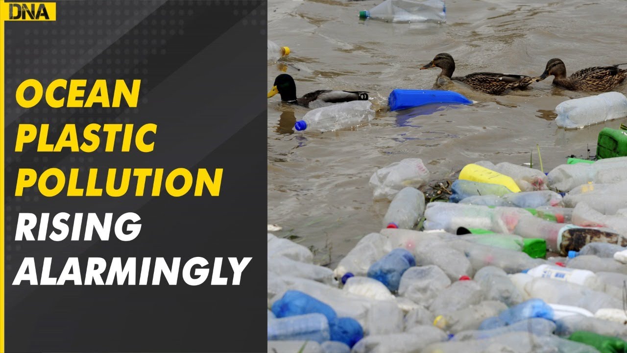 Wwf Report Ocean Plastic Pollution To Quadruple By 2050 Affecting 88