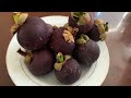 How to eat and cut open mangosteen fruit