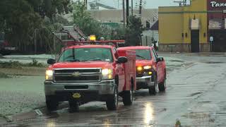 10-27-2020 Oklahoma City, OK Catastrophic Ice Storm - Trees Snapping, Crippling Damage and Cleanup