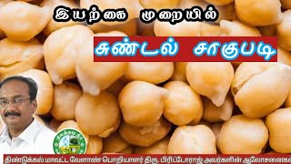 இயற்கை முறையில் சுண்டல் சாகுபடி |Chickpea Cultivation Tamil🌿 பிரிட்டோராஜ்