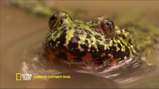 Άγρια Ρωσία, στο Nat Geo Wild!