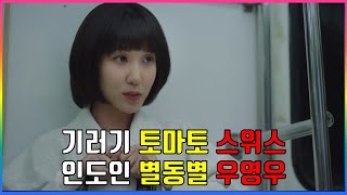 [이상한 변호사 우영우] 기러기 토마토 스위스 인도인 별똥별 우영우 역삼역