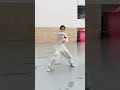 tai chi 太极拳，柔中带刚，爆发瞬间，震撼全场 taichi kungfu taichiquan 功夫 太极 martialarts wushu taiji 太极拳 taij