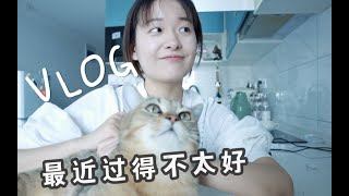 96# 一个好消息和一个坏消息｜近况update【独居VLOG】