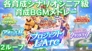 【ウマ娘BGM】各育成シナリオ シニア級 育成BGMメドレー URAファイナルズ～プロジェクトL'Arc【ウマ娘/2ループ/高音質】