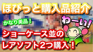 【レトロゲーム】駿河屋系列のほびっとでレトロゲームを大量購入したのでご紹介！ショーケース並みのレアゲームもあるよ【購入品紹介】