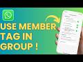 How To Use WhatsApp Member Tags in Group !