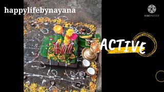 എന്റെ ഓണവും ഓണത്തിന്റെ ഒരുക്കങ്ങളും #happylifebynayana #onam