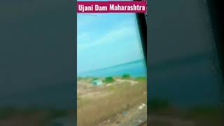 Ujani Dam, Kedgaon, Ahmednagar, Maharashtra #ujanidam #shorts #maharashtra #viral #shortvideo